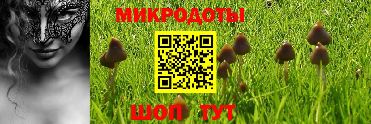 Псилоцибиновые грибы ЛСД  Вход с VPN  Новокуйбышевск 