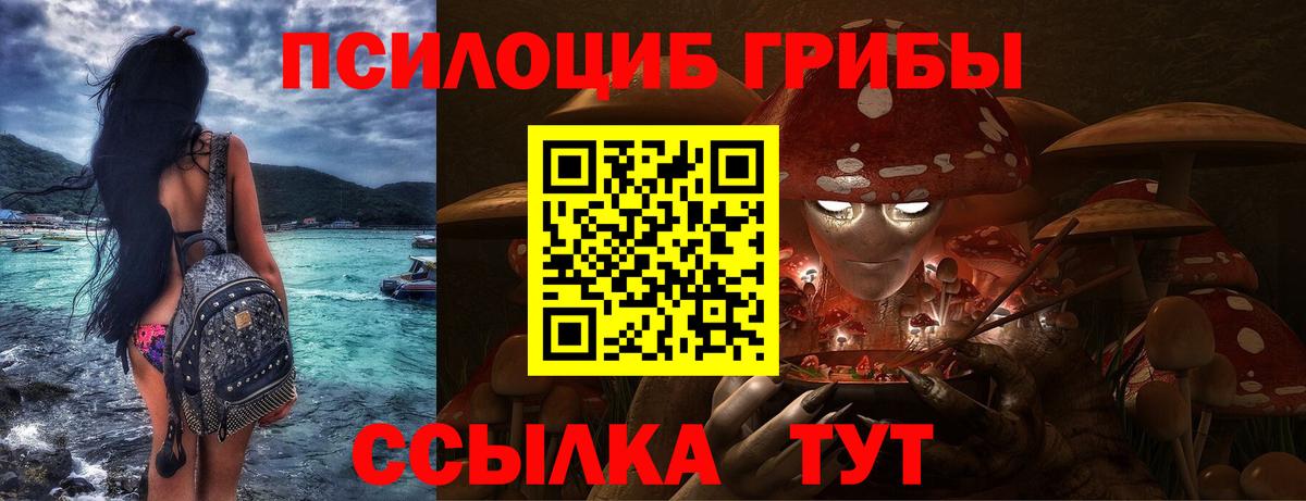 Псилоцибиновые грибы мицелий Новокуйбышевск
